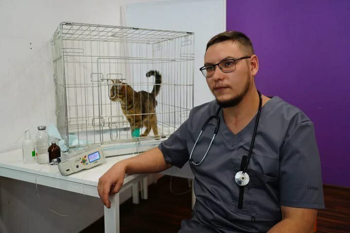 Врачи ветеринарной клиники Ветеринар на связи, Раменское